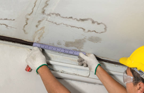 Reliable Water Damage contractor in Pinecliffe, CO by Water Damage Irwin